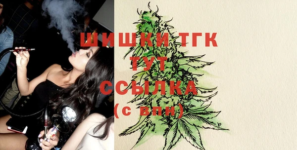 ПСИЛОЦИБИНОВЫЕ ГРИБЫ Вяземский