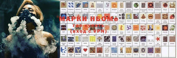 ПСИЛОЦИБИНОВЫЕ ГРИБЫ Вяземский