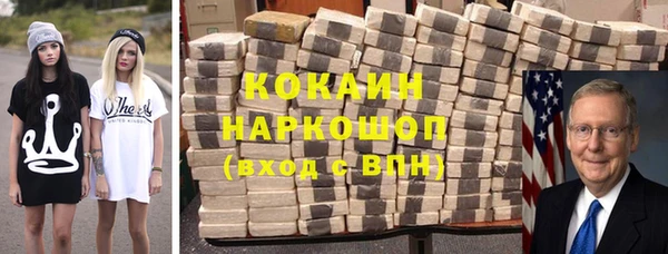ПСИЛОЦИБИНОВЫЕ ГРИБЫ Вяземский