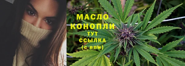 ПСИЛОЦИБИНОВЫЕ ГРИБЫ Вяземский
