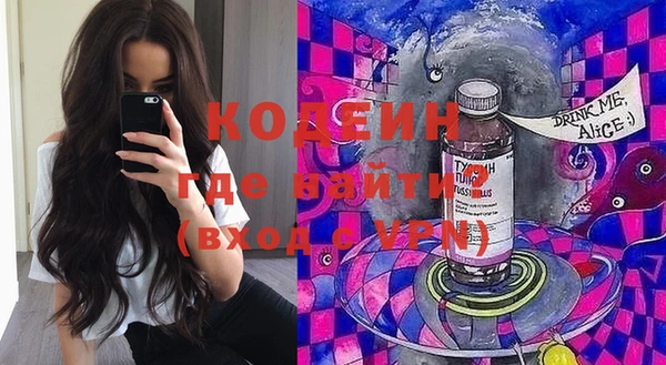 ПСИЛОЦИБИНОВЫЕ ГРИБЫ Вяземский