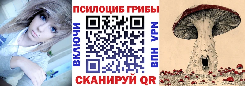 Псилоцибиновые грибы MAGIC MUSHROOMS  Купить где  Луза 